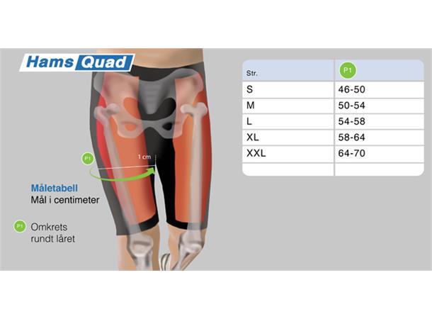 Colibri Hams Quad Dame Sort Large