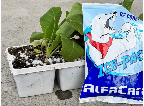 AlfaCare Ice-Pack Norskproduceret Ispose