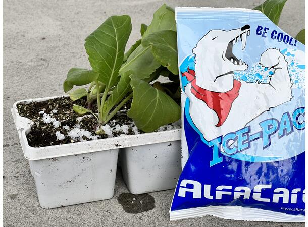AlfaCare Ice-Pack Norskproduceret Ispose