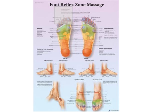 Plakat Foot Reflex Zone Massage 50 x 67 cmLaminert