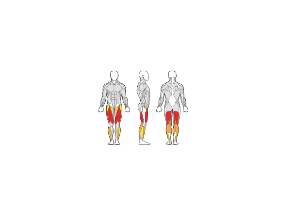 Gymleco Leg Extension / Curl Kombi 