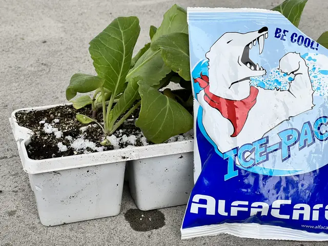 AlfaCare Ice-Pack Norskproduceret Ispose 