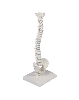 Rygs&#248;jle 4001 Mini m/b&#230;kken og stativ H&#248;jde 38cm
