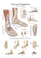 Plakat Foot And Ankle