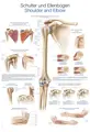 Plakat Skulder And Albue