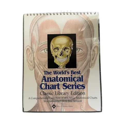 Anatomical Chart Series 48 Sider | Hvid