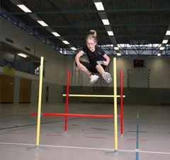 Hindersett Minihekk 6 Hekker