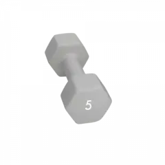 Abilica DumbBells 5 kg