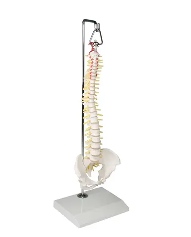 Mini Rygs&#248;jle 38cm 4002 H&#230;ngende p&#229; stand