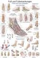 Plakat Foot And Foot Diseases
