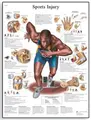Plakat Sportsskader 50 x 67 cm Laminert